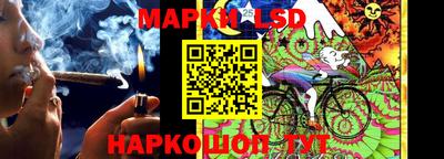 мяу мяу мука Будённовск