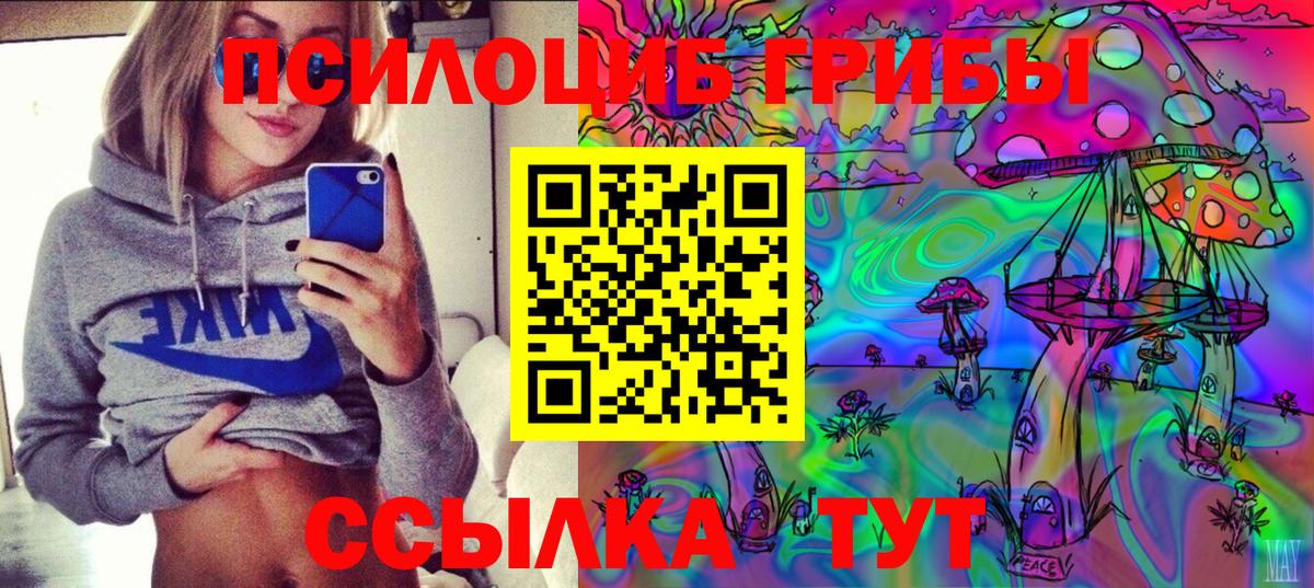 Галлюциногенные грибы Cubensis Россошь