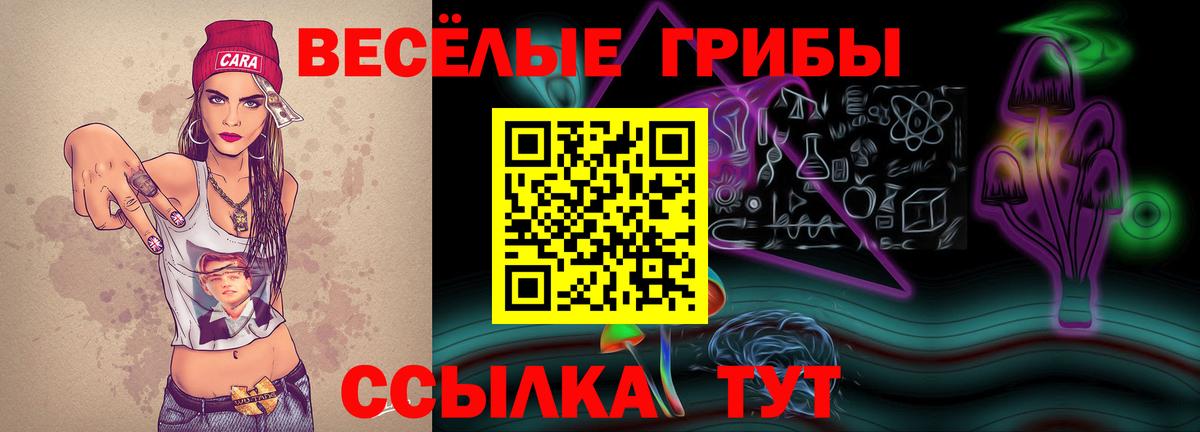Галлюциногенные грибы мицелий  Вход с VPN  Россошь 